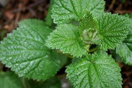 Honeys help improve potency and strengthen libido